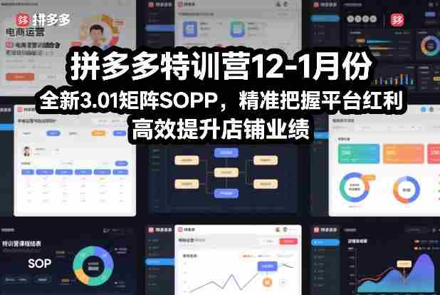 拼多多特训营12-1月份，全新3.01矩阵Sop，精准把握平台红利，高效提升店铺业绩-轻创网