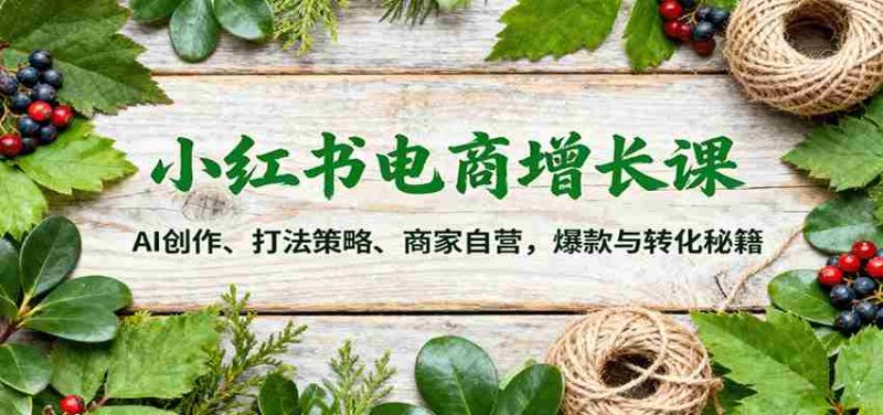 小红书电商增长课：AI创作、打法策略、商家自营，爆款与转化秘籍-轻创网