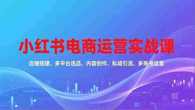 （16695期）小红书电商运营实战课，店铺搭建、多平台选品、内容创作、私域引流、多账号运营等玩法-轻创网