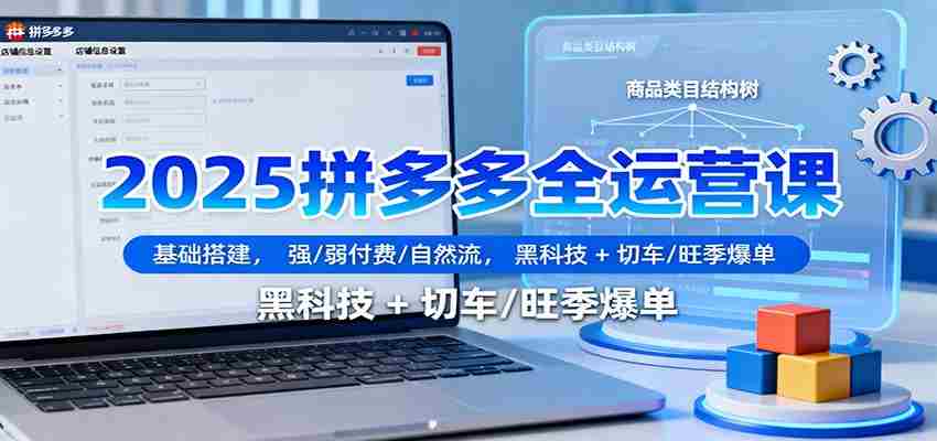 2025拼多多全运营课：基础搭建，强/弱付费/自然流，黑科技 + 切车/旺季爆单-轻创网