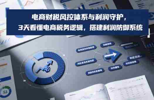 电商财税风控体系与利润守护，3天看懂电商税务逻辑，搭建利润防御系统-轻创网