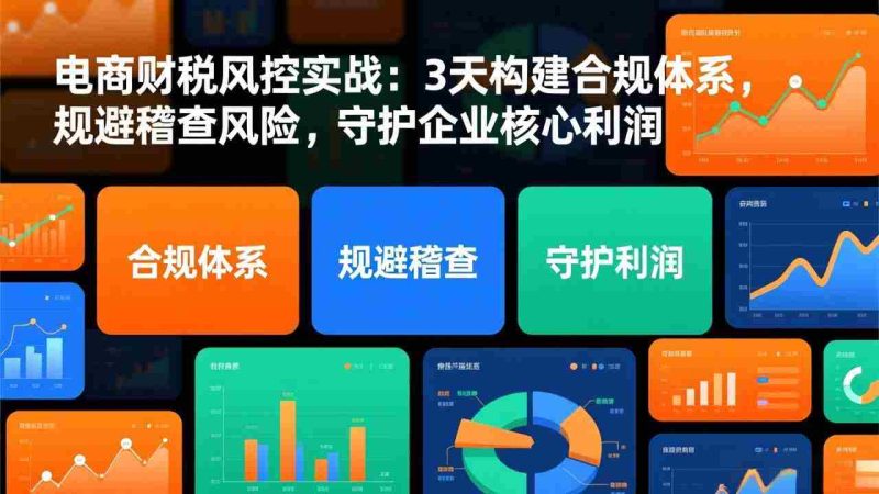 (17197期)电商财税风控实战:3天构建合规体系,规避稽查风险,守护企业核心利润-轻创网