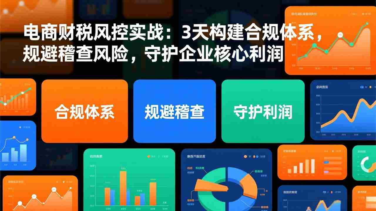 （17197期）电商财税风控实战：3天构建合规体系，规避稽查风险，守护企业核心利润-轻创网