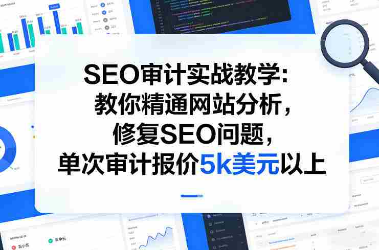 SEO审计实战教学：教你精通网站分析，修复SEO问题，单次审计报价5k美元以上-轻创网