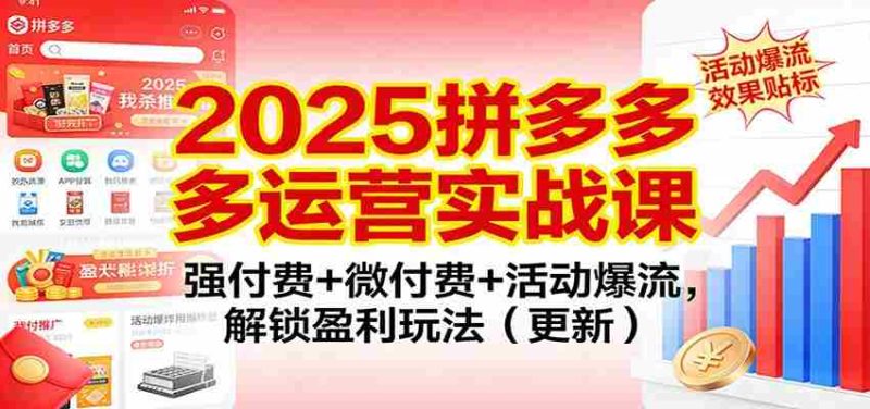 2025拼多多运营实战课:强付费+微付费+活动爆流,解锁盈利玩法(更新)-轻创网