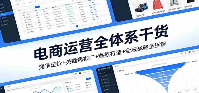 电商运营全体系干货，竞争定价+关键词推广+爆款打造+全域战略全拆解-轻创网