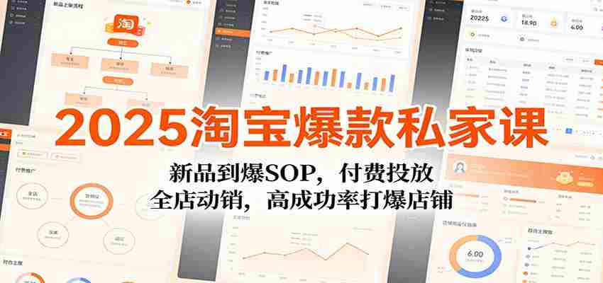 2025淘宝爆款私家课：新品到爆SOP，付费投放，全店动销，高成功率打爆店铺-轻创网