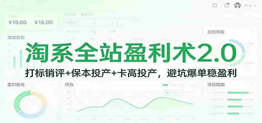 淘系全站盈利术2.0：打标销评+保本投产+卡高投产，避坑爆单稳盈利-轻创网