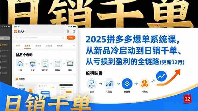 （16894期）2025拼多多爆单系统课，从新品冷启动到日销千单、从亏损到盈利的全链路（更新12月）-轻创网