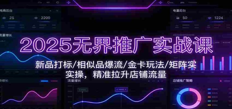 2025无界推广实战课：新品打标/相似品爆流/金卡玩法/矩阵实操，精准拉升店铺流量-轻创网