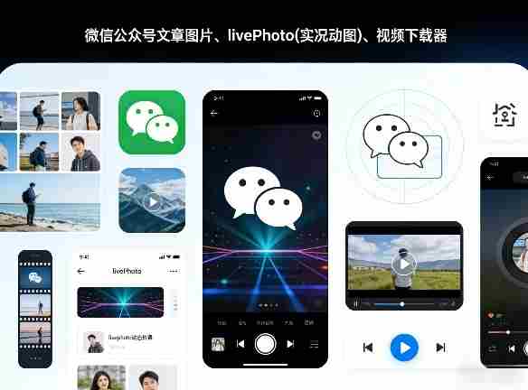 微信公众号文章图片、livePhoto(实况动图)、视频下载器-轻创网