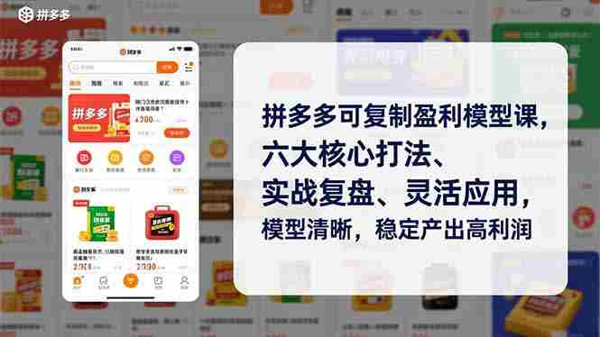 （16952期）拼多多可复制盈利模型课，六大核心打法、实战复盘、灵活应用，模型清晰，稳定产出高利润-轻创网