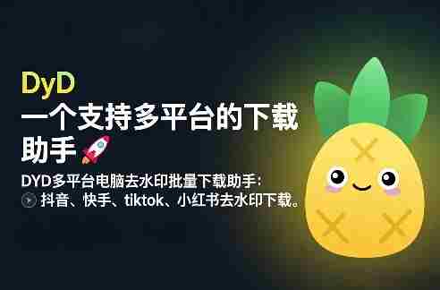 DYD多平台电脑去水印批量下载助手：抖音、快手、tiktok、小红书去水印下载-轻创网